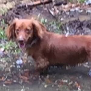 Meet your Posher, Sue